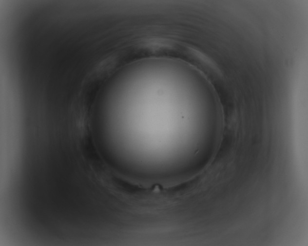 X0000101441014200807071358