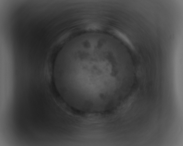 X0000101441015200807071358