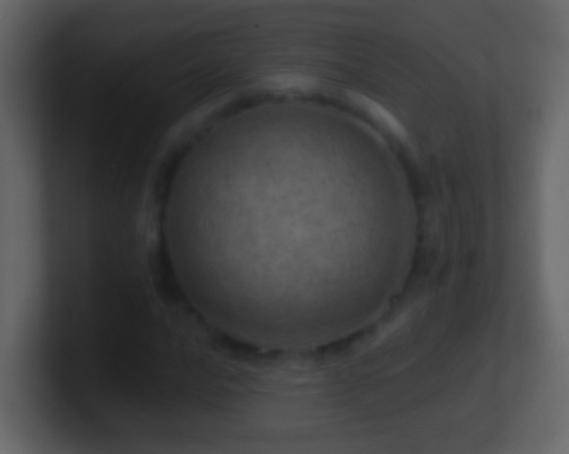 X0000101441016200807071358