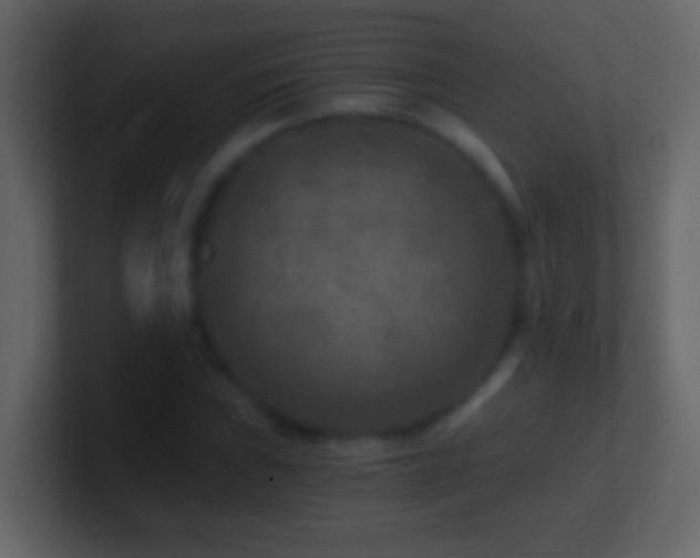 X0000101441019200807071358