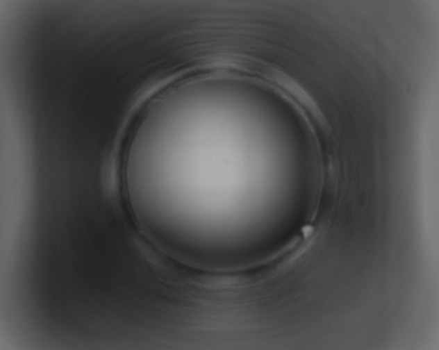 X0000101441020200807071358