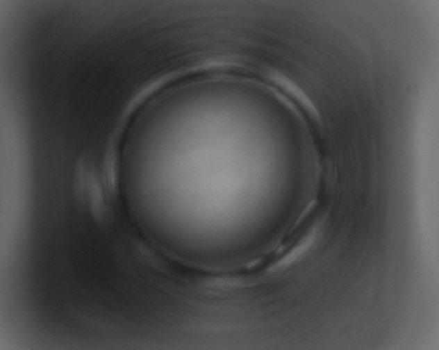 X0000101441021200807071358