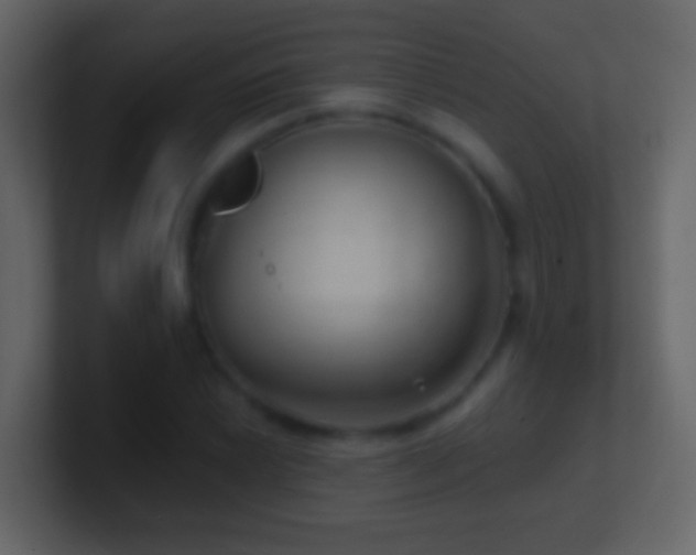 X0000101441022200807071358