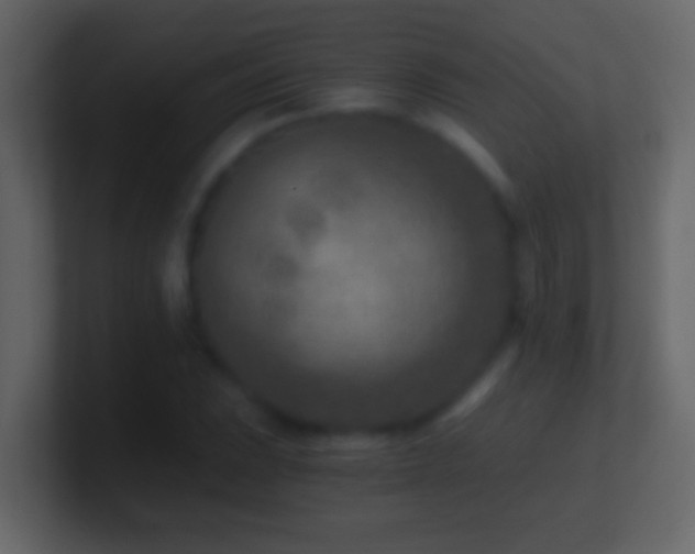 X0000101441023200807071358