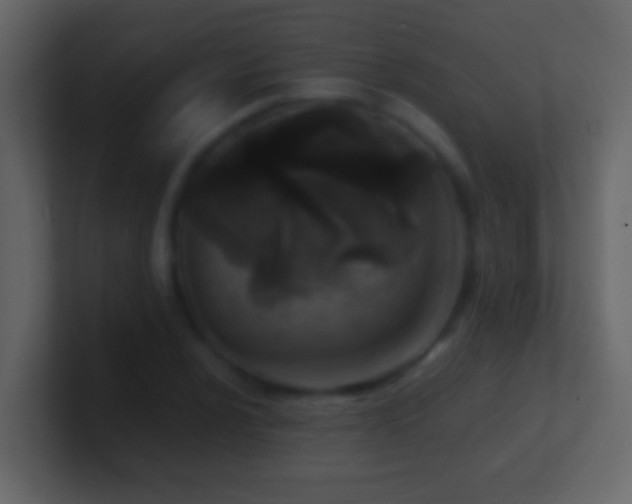 X0000101441024200807071358