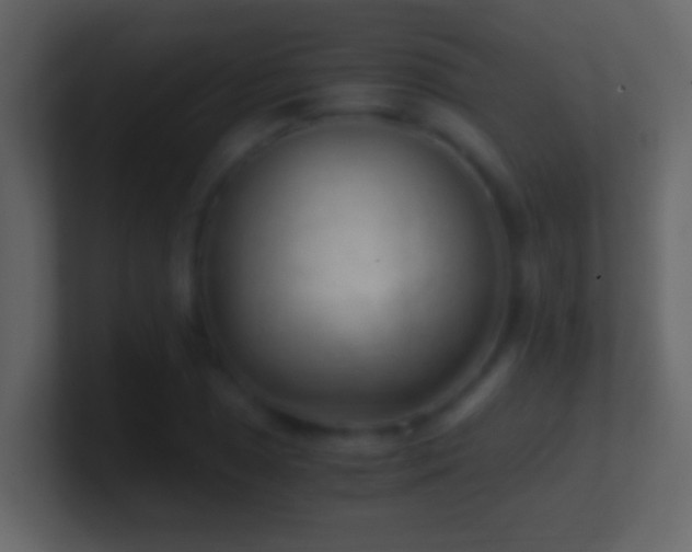 X0000101441025200807071358