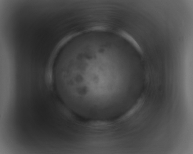 X0000101441027200807071358