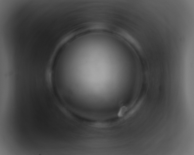 X0000101441029200807071358