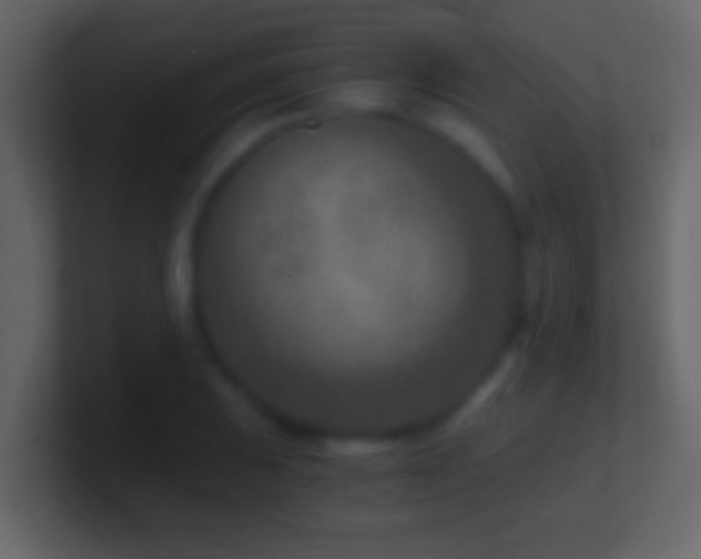 X0000101441031200807071358