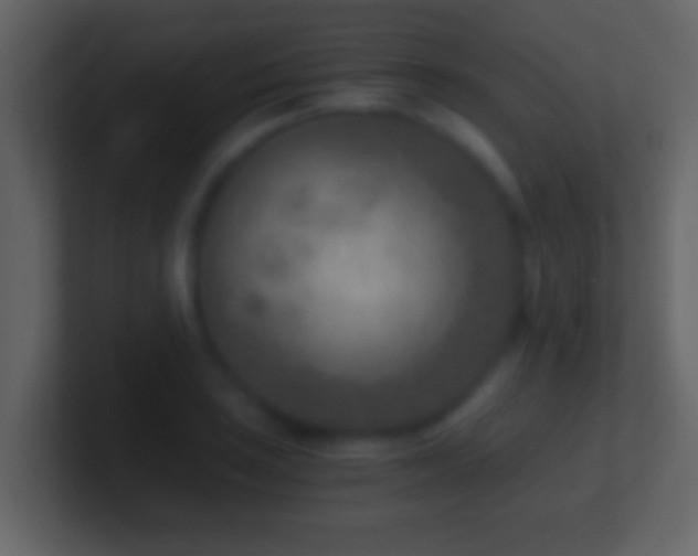 X0000101441035200807071358