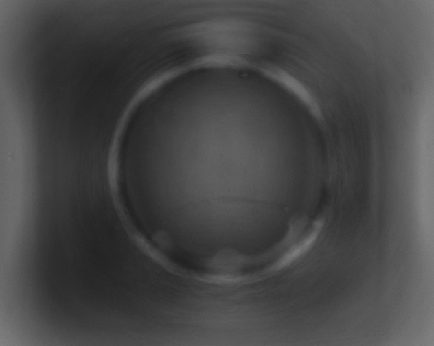 X0000101441037200807071358