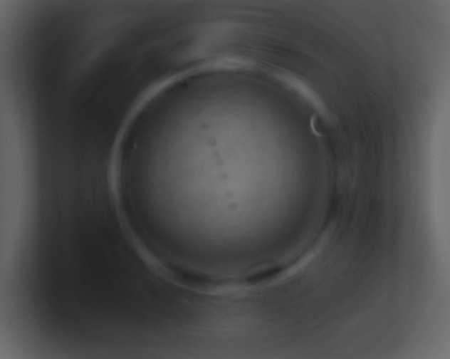 X0000101441038200807071358