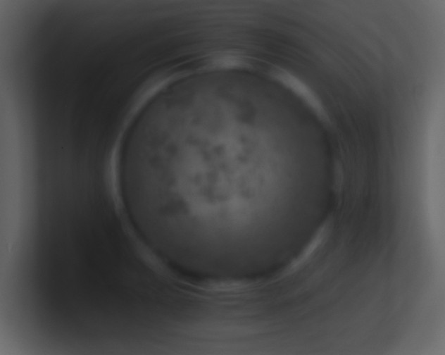 X0000101441039200807071358