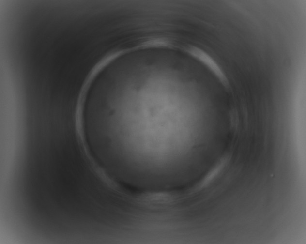 X0000101441043200807071358