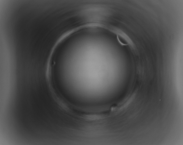 X0000101441044200807071358