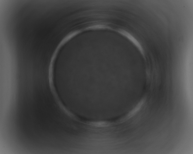 X0000101441045200807071358