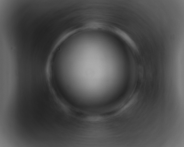 X0000101441046200807071358