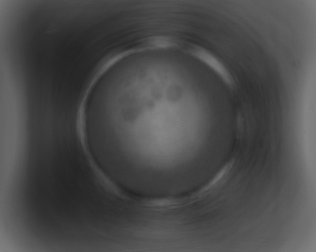 X0000101441047200807071358