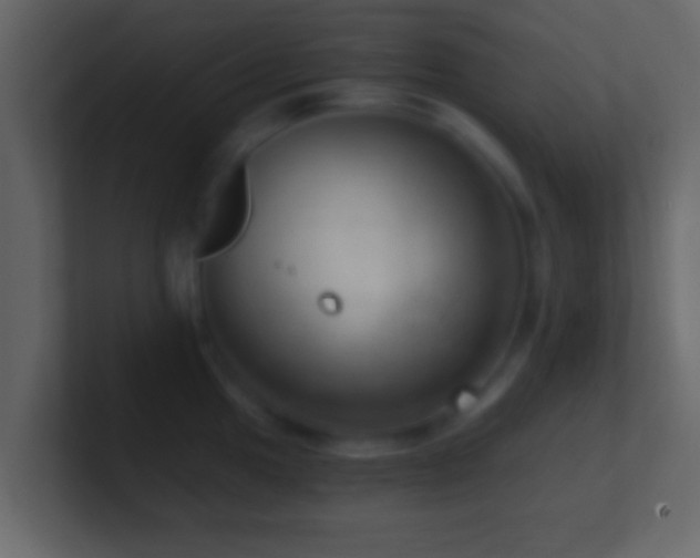 X0000101441049200807071358