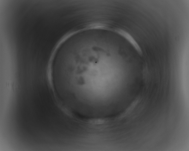 X0000101441051200807071358