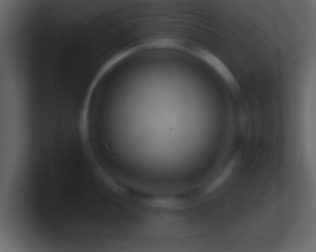 X0000101441052200807071358