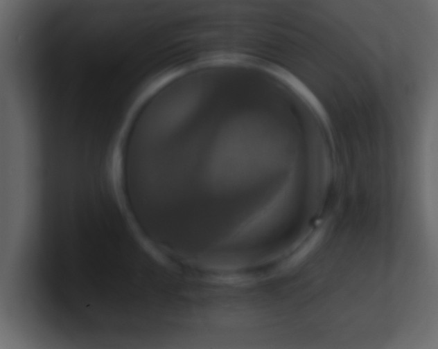 X0000101441053200807071358