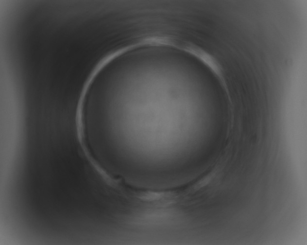 X0000101441056200807071359