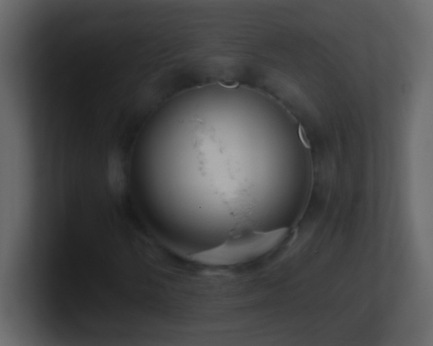 X0000101441058200807071358