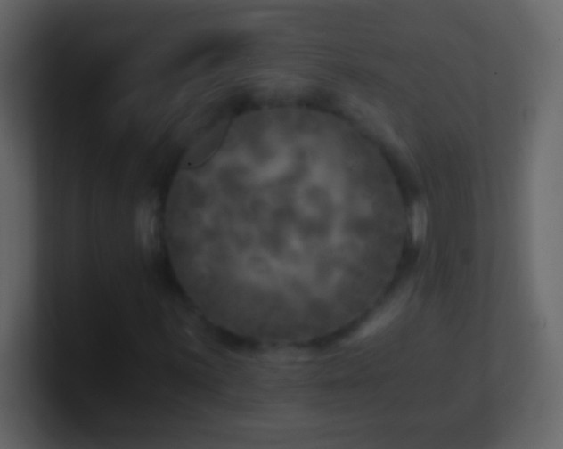 X0000101441059200807071358