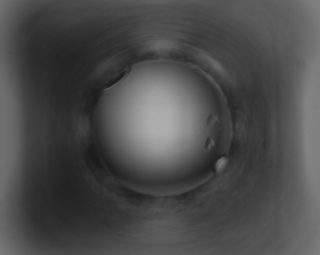 X0000101441062200807071358