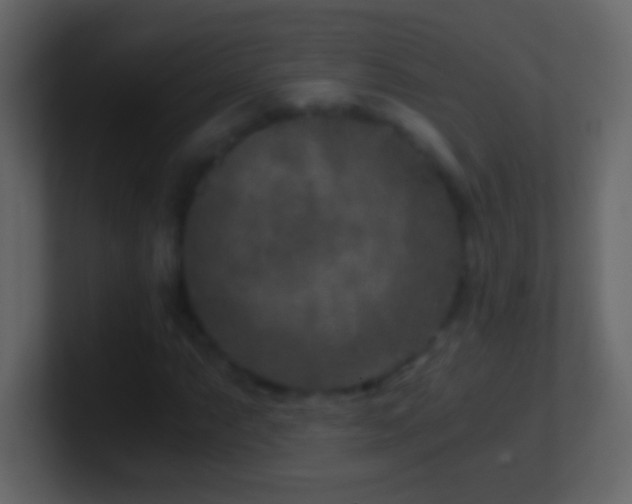 X0000101441063200807071358