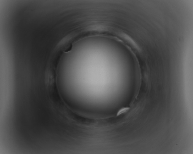 X0000101441064200807071358