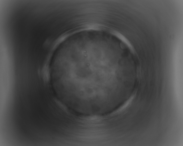 X0000101441067200807071358