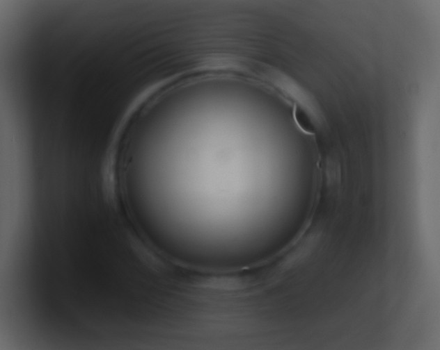 X0000101441068200807071358