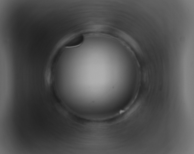 X0000101441069200807071358