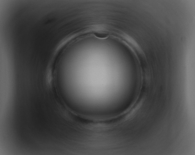 X0000101441070200807071358