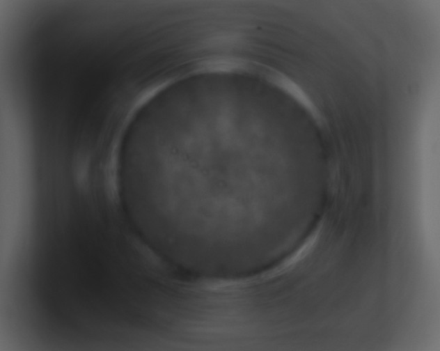 X0000101441071200807071358