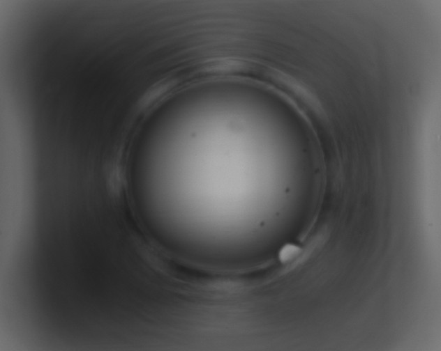 X0000101441073200807071358