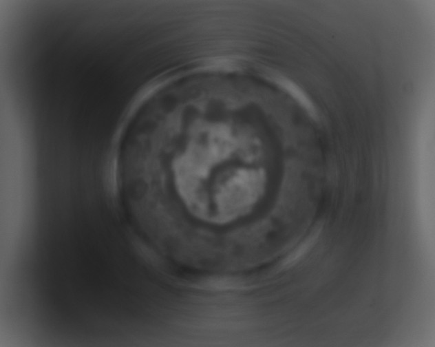 X0000101441075200807071357