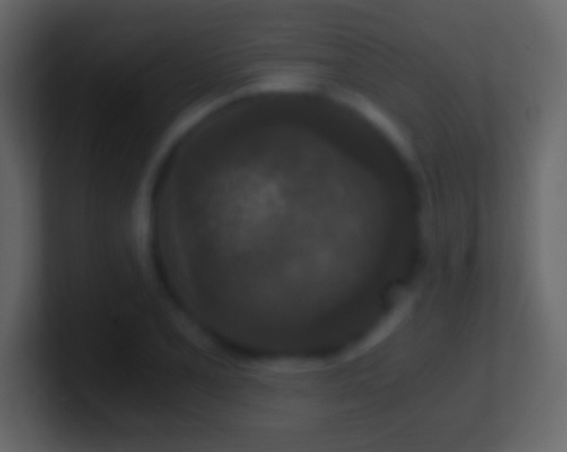 X0000101441077200807071357