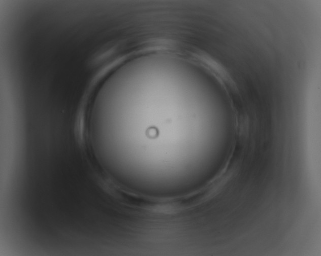 X0000101441078200807071357