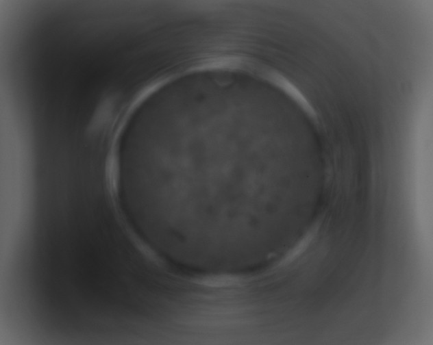 X0000101441079200807071357