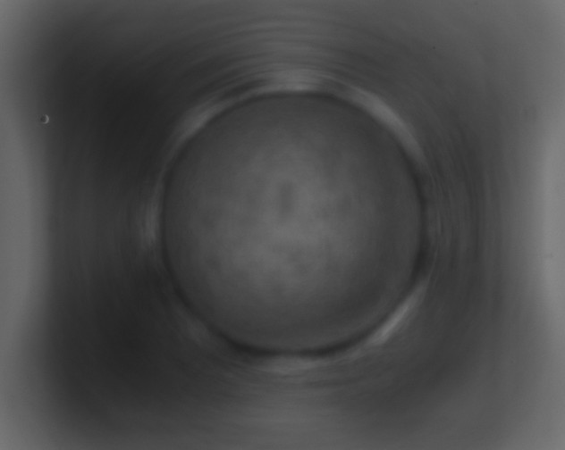 X0000101441081200807071357