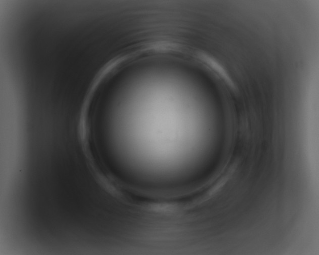 X0000101441082200807071357