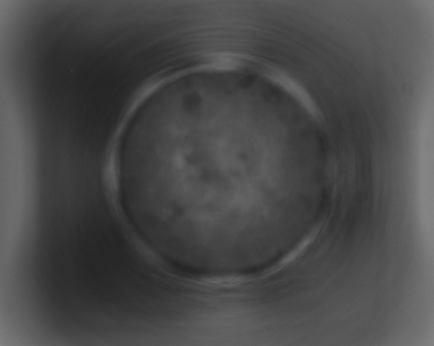 X0000101441083200807071357