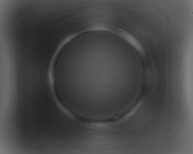 X0000101441084200807071357