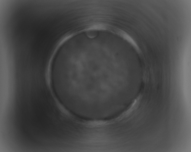 X0000101441087200807071357