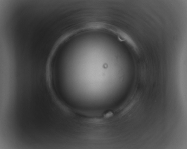 X0000101441088200807071357