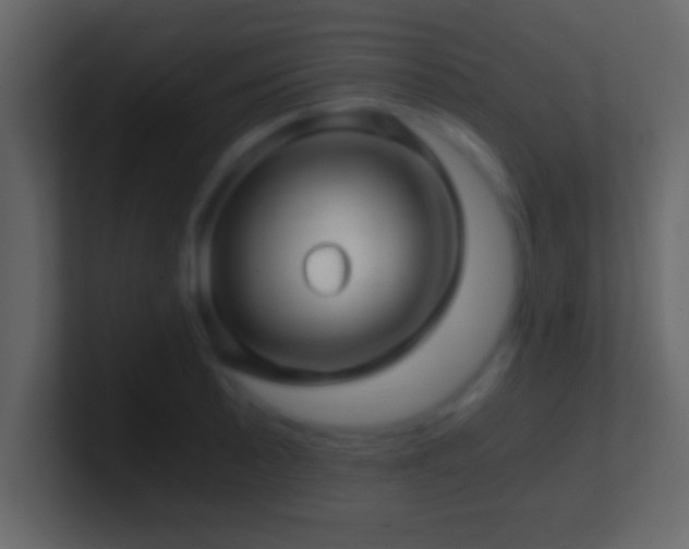 X0000101441089200807071357