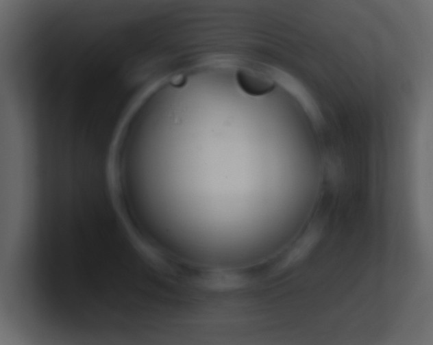 X0000101441090200807071357